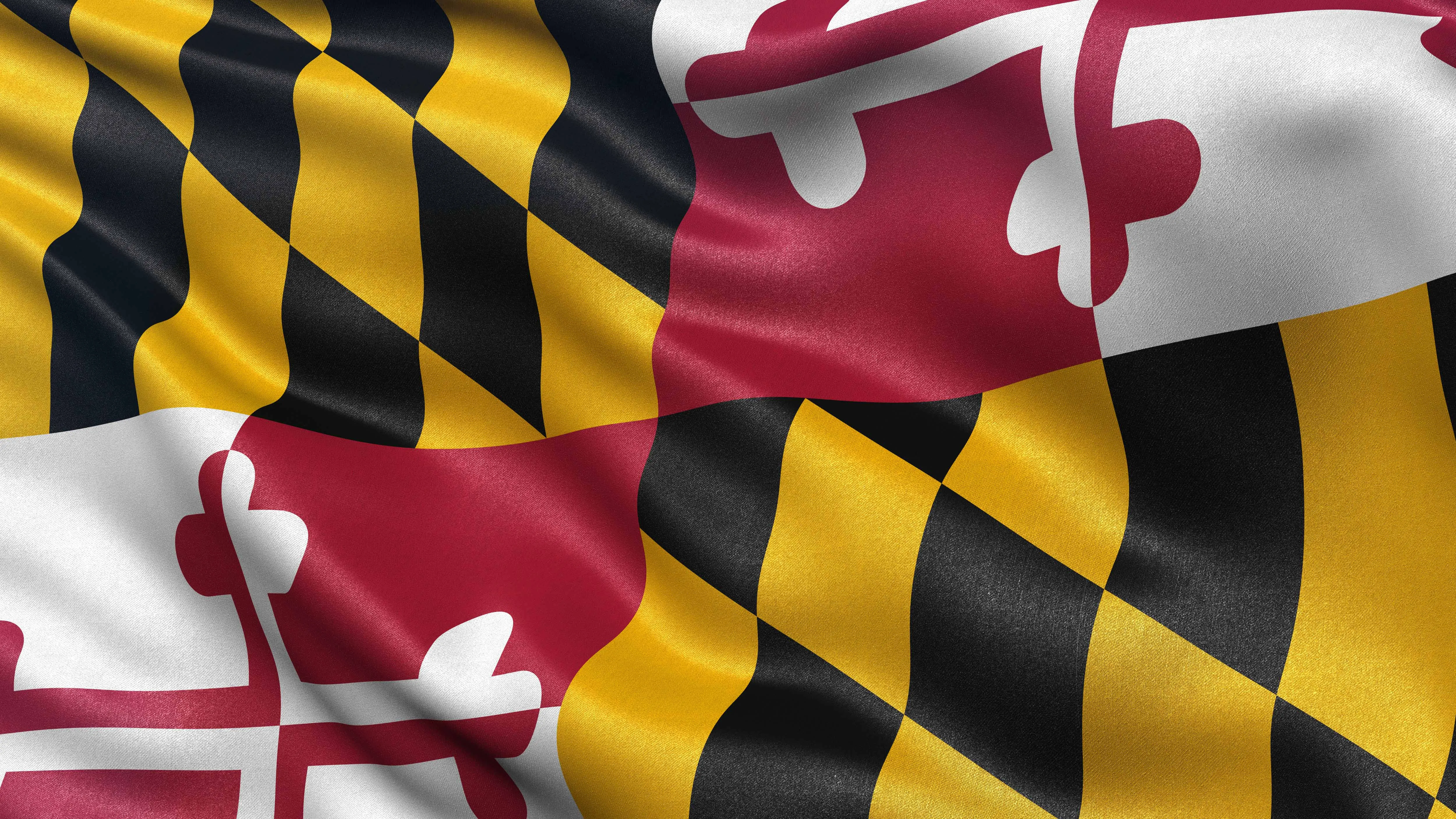 Maryland state flag