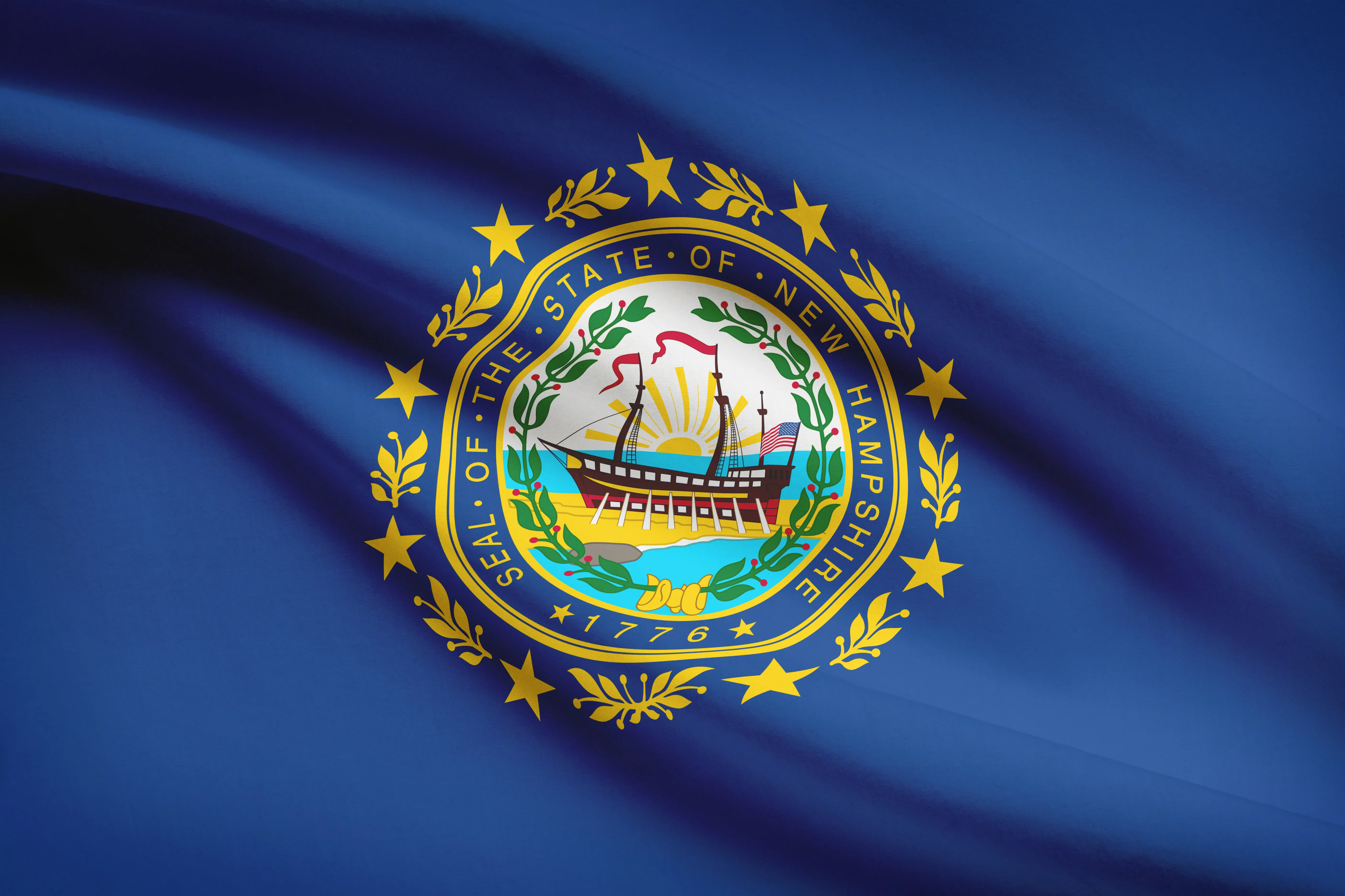 New Hampshire state flag