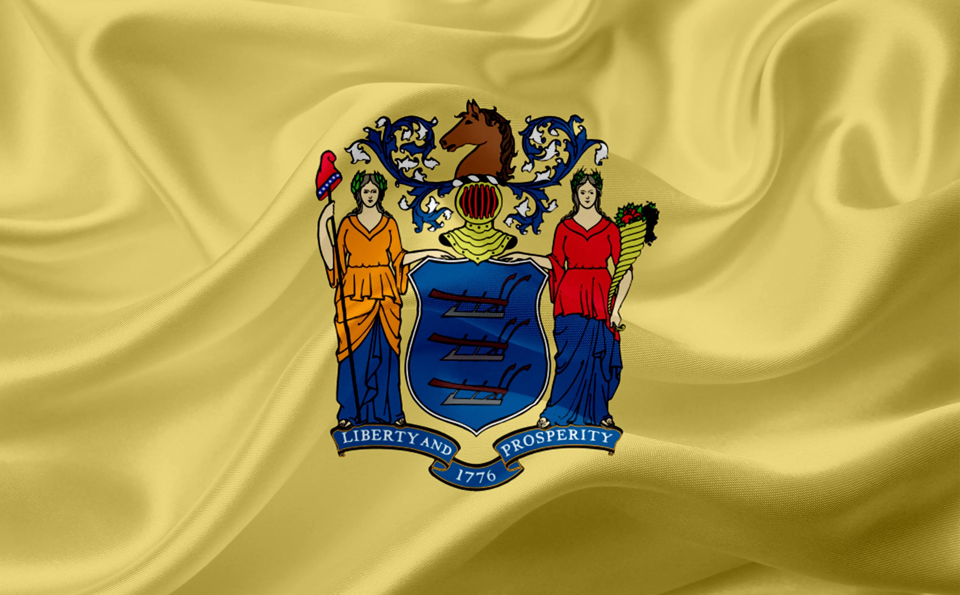 New Jersey state flag