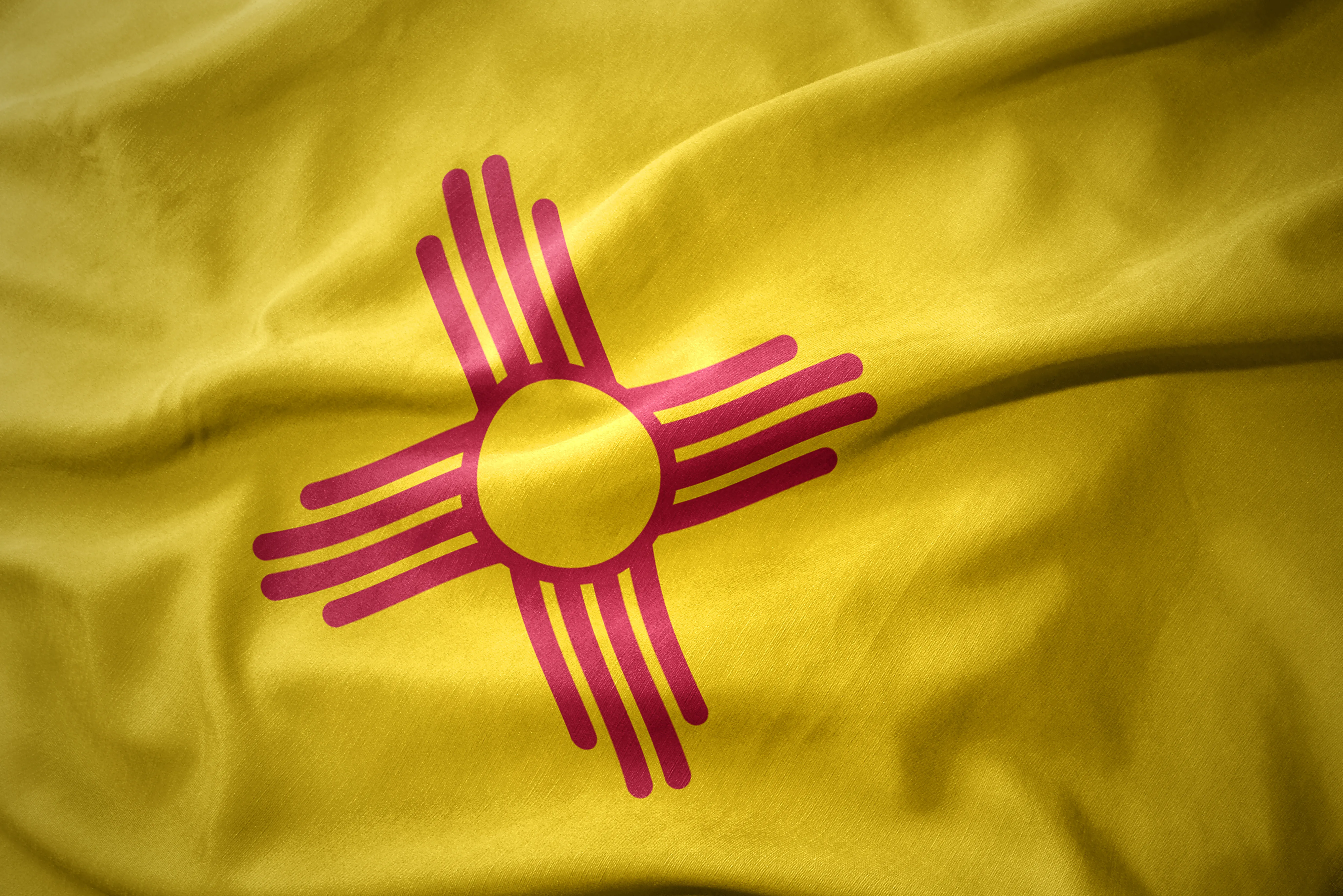 New Mexico state flag